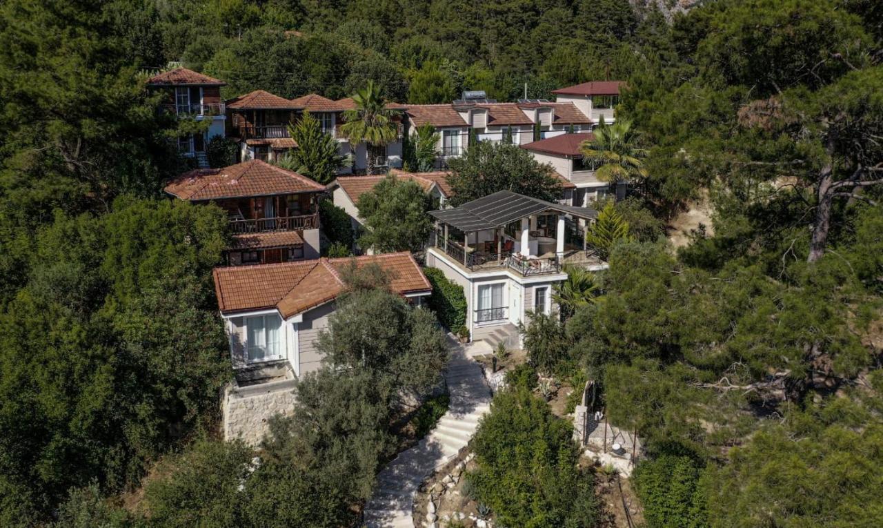 Hotel 212 Olympos Exteriör bild